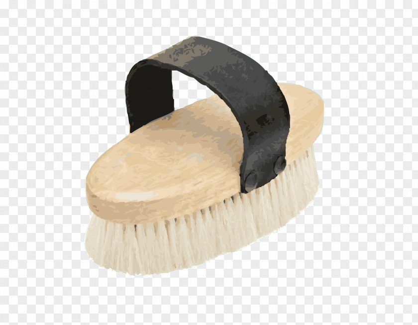 Learning Tool Brush Horse Pony Hair PNG