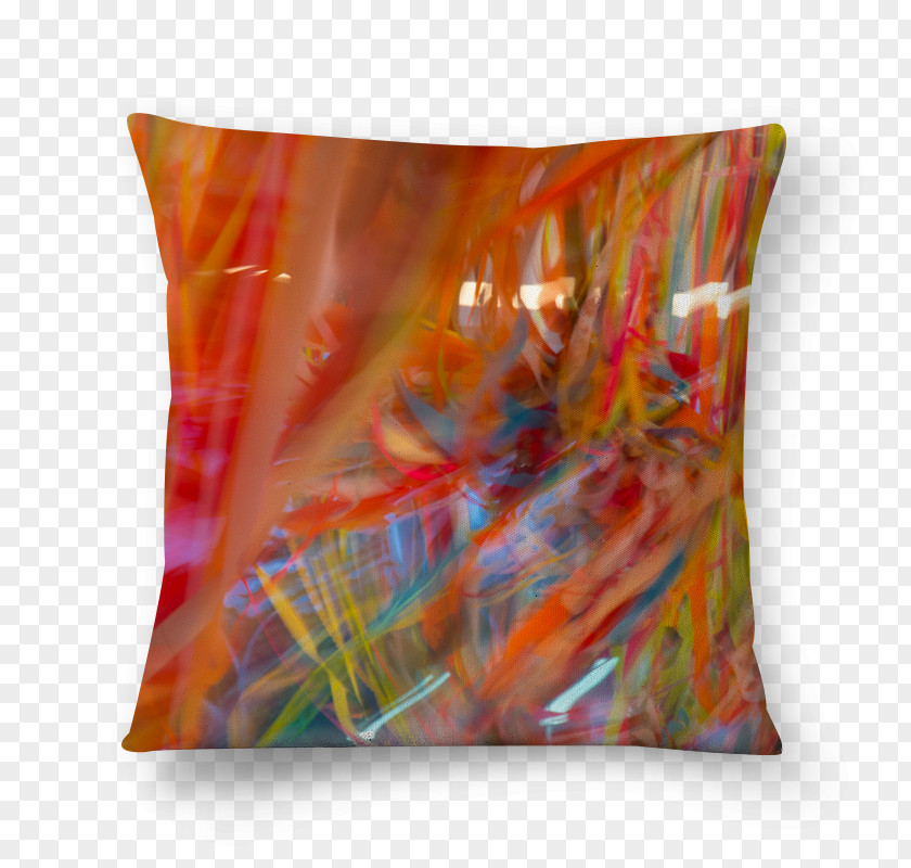 Renato Augusto Throw Pillows Cushion Rectangle PNG