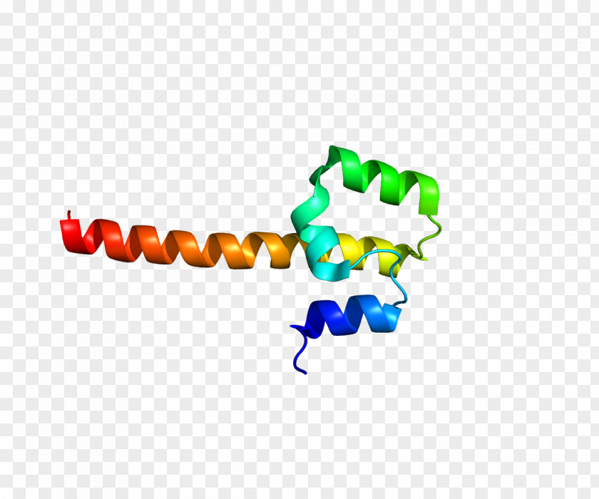 Start NFE2 BZIP Domain Protein Transcription Factor MAFF PNG