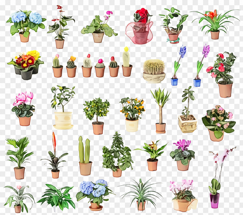 Wildflower Cut Flowers Flowerpot Plant Flower Clip Art Houseplant PNG