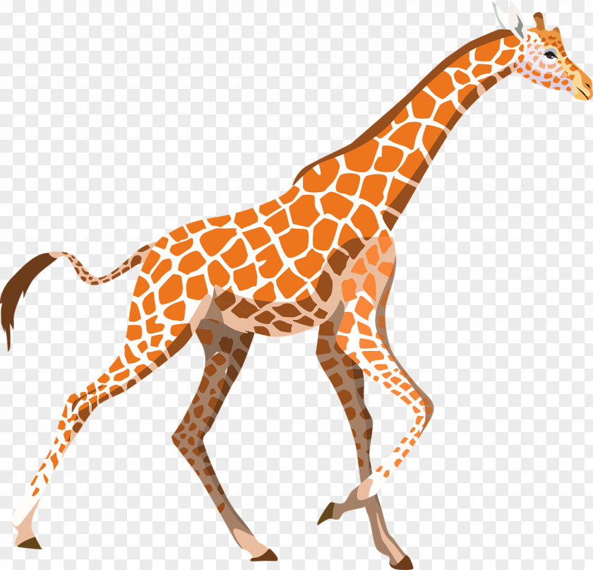 African Textiles Desktop Wallpaper Northern Giraffe Clip Art PNG