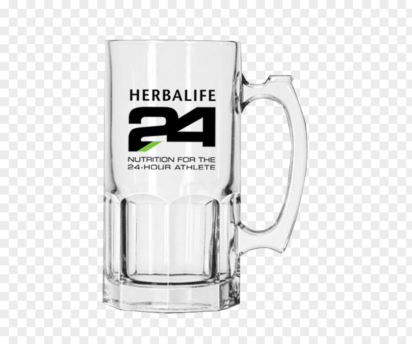Beer Glasses Stein Draught Drink PNG