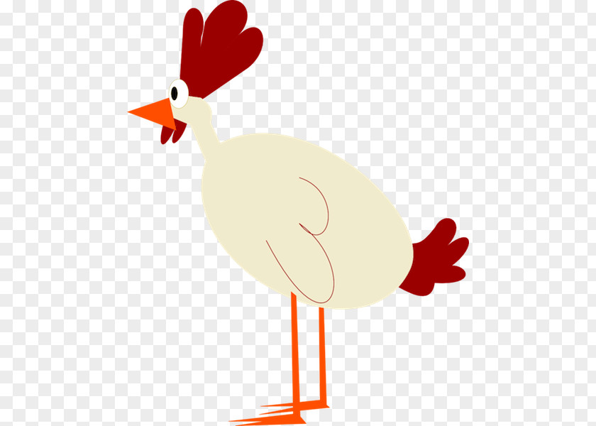 Chicken Images Free Content Clip Art PNG
