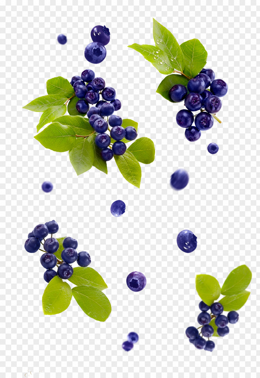 Grape Bilberry Blueberry Juice American Muffins PNG