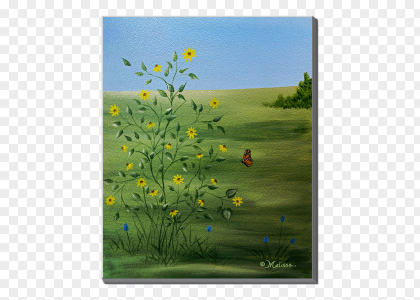 Painting Blanket Meadow Acrylic Paint Art PNG
