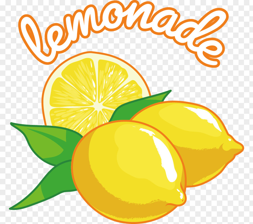 Vector Lemon Lemon-lime Drink PNG