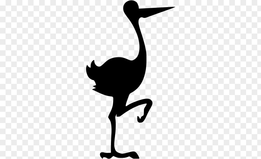 Bird White Stork Black Clip Art PNG
