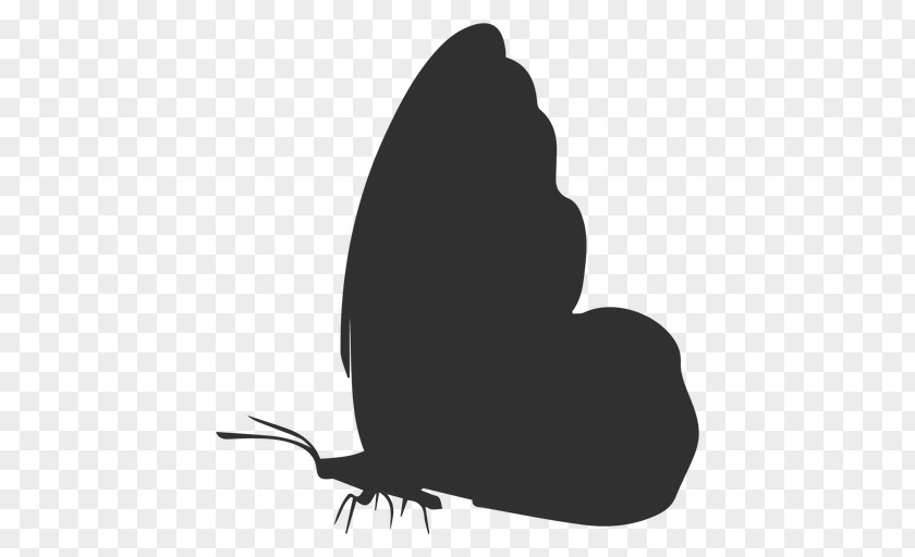 Butterfly Silhouette Peacock Clip Art Image PNG
