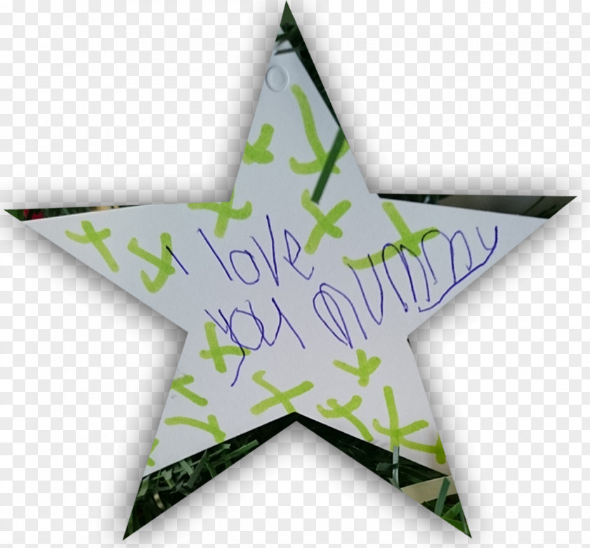 Christmas Star Green Leaf PNG