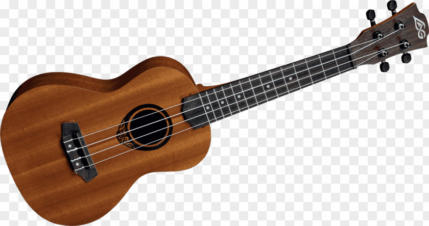 Dessin Caisse Claire Acoustic Guitar Acoustic-electric Takamine Guitars Ukulele PNG