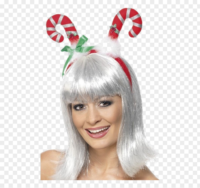 Hat Christmas Ornament Wig Clothing Accessories PNG