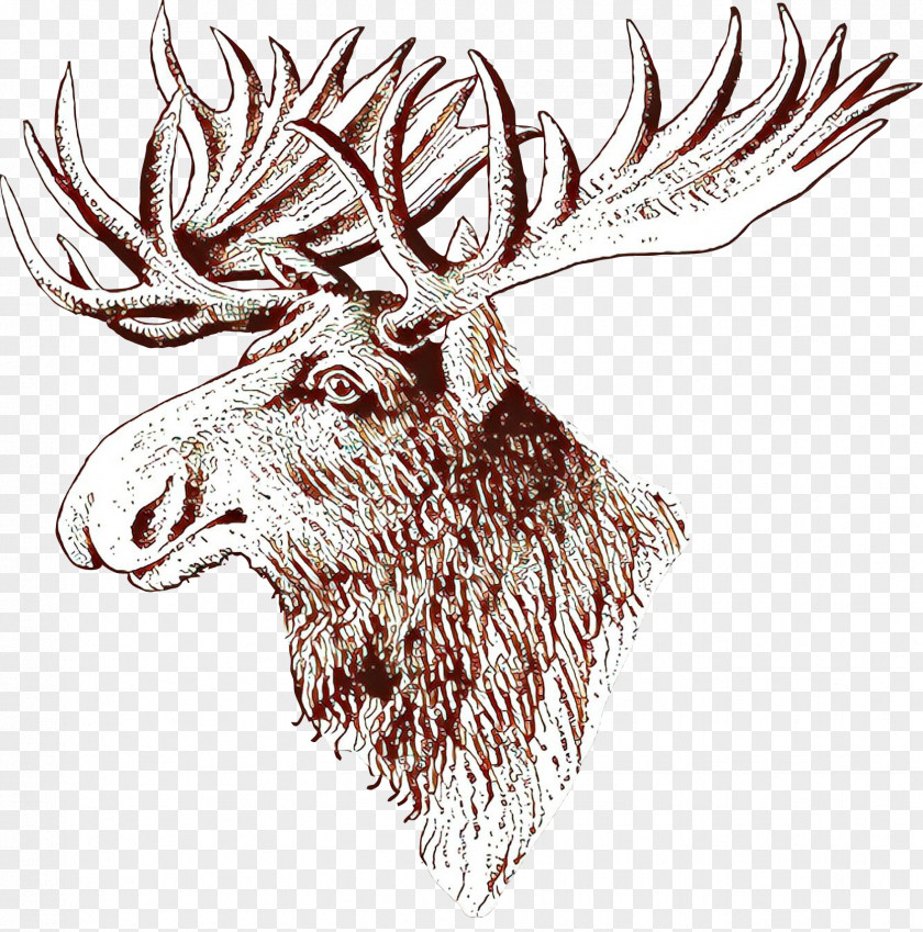 Head Elk Drawing Horn Line Art PNG