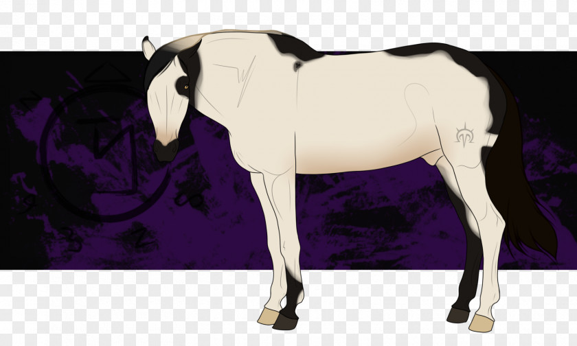 Mustang Mane Stallion Rein Mare PNG