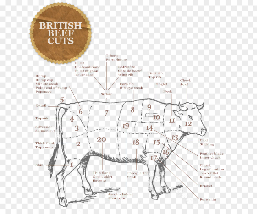 Pig Domestic Cattle Primal Cut Of Beef PNG