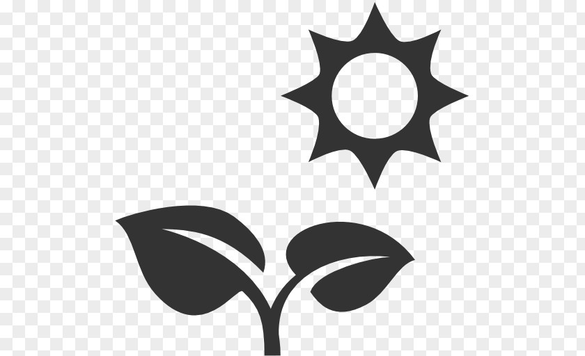 Plante Icon Design Image Clip Art PNG
