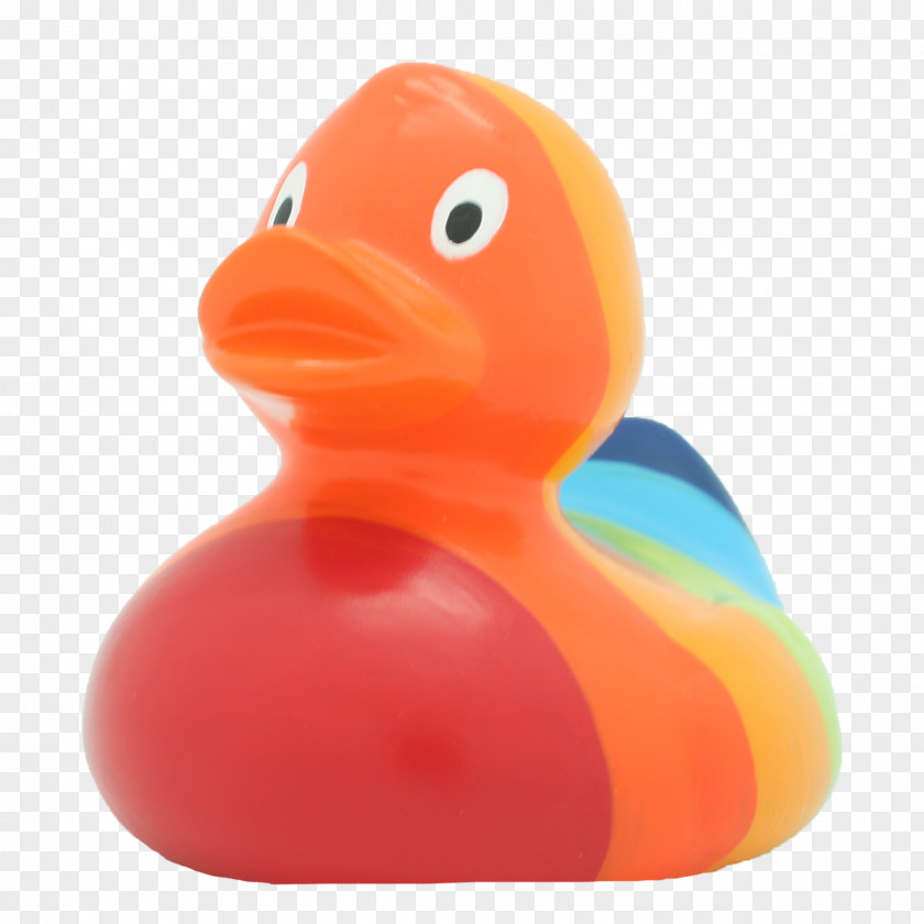 Rubber Duck Toy Natural Amazonetta PNG