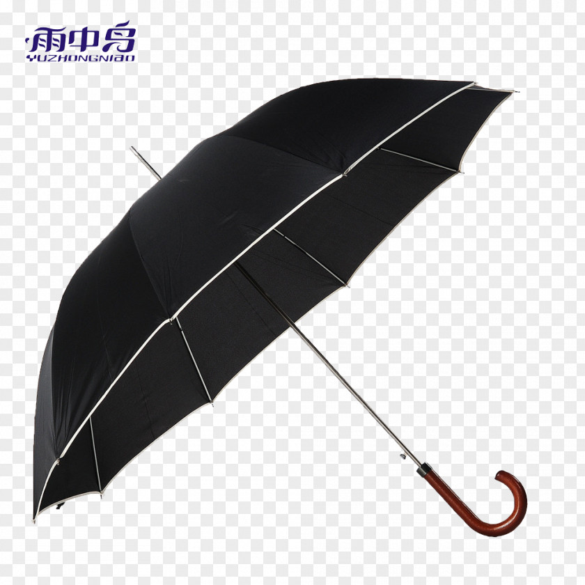 Umbrella Rain Gear U96e8u5177 Handle Regalo De Empresa PNG