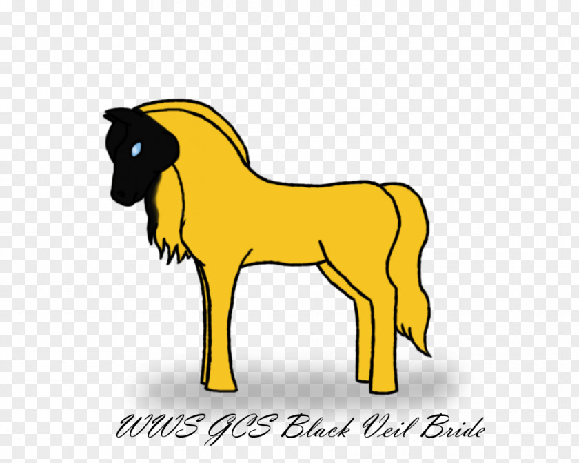 Black Veil Brides Mustang Foal Stallion Colt Mane PNG