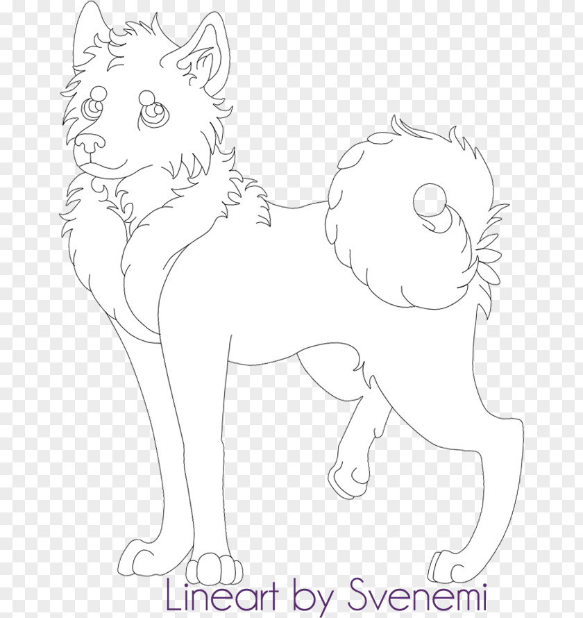 Cat Whiskers Horse Line Art /m/02csf PNG