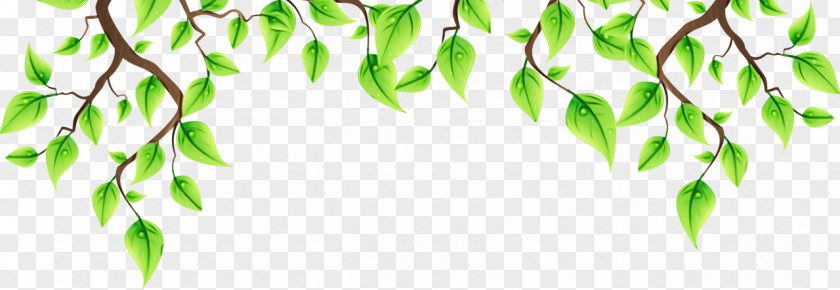 Flower Plant Stem Green Leaf Background PNG