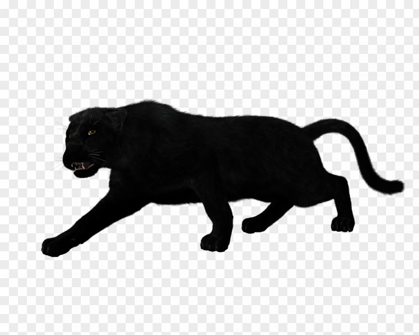 Leopard Black Panther Jaguar Silhouette Clip Art PNG