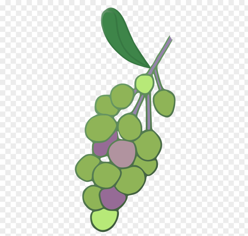 Simple Cashew Clusters Wine Grape Leaves Concord Shiraz PNG