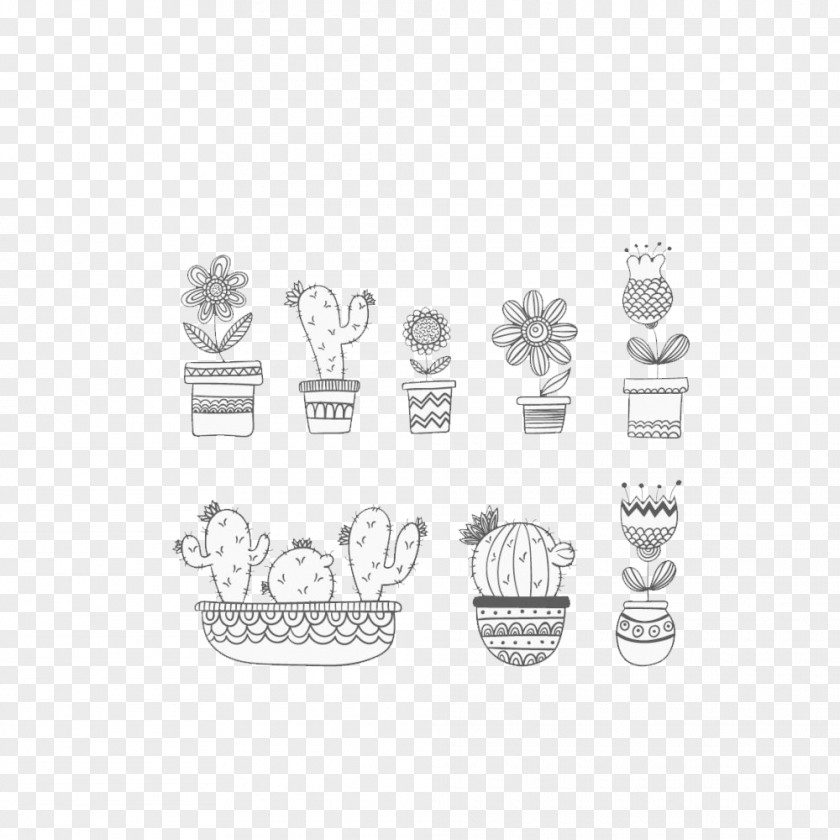 Bb Cartoon Drawing Cactus Succulent Plant Illustration Image PNG