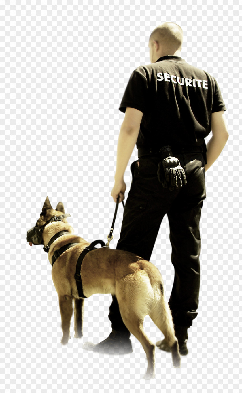 Chian Security Guard Safety Prévention Et Sécurité Privée En France Maître-chien Certificat De Qualification Professionnelle PNG