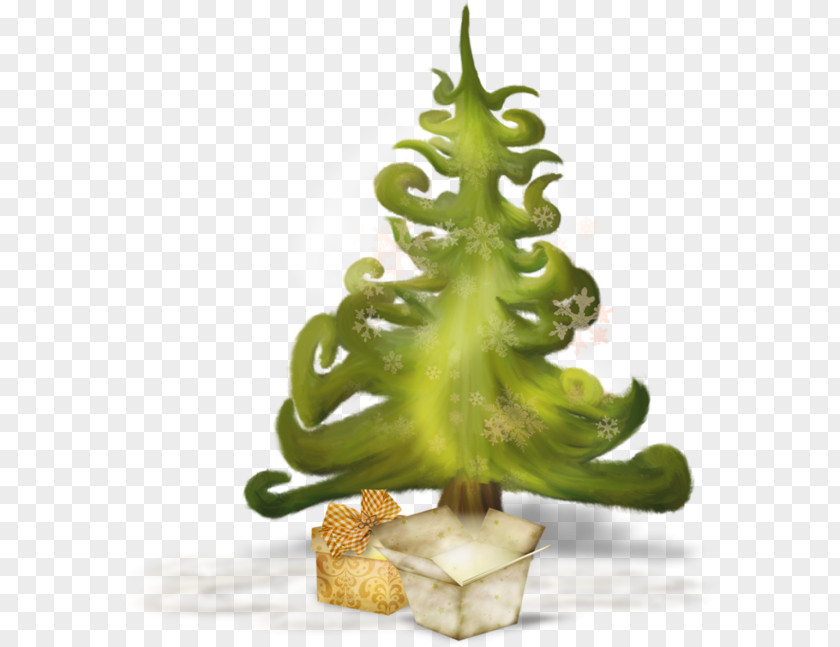 Christmas Plant Winter PNG