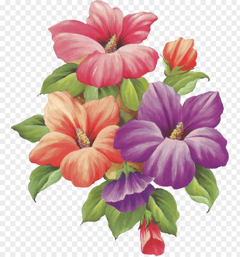 Flower Drawing Painting Paper PNG