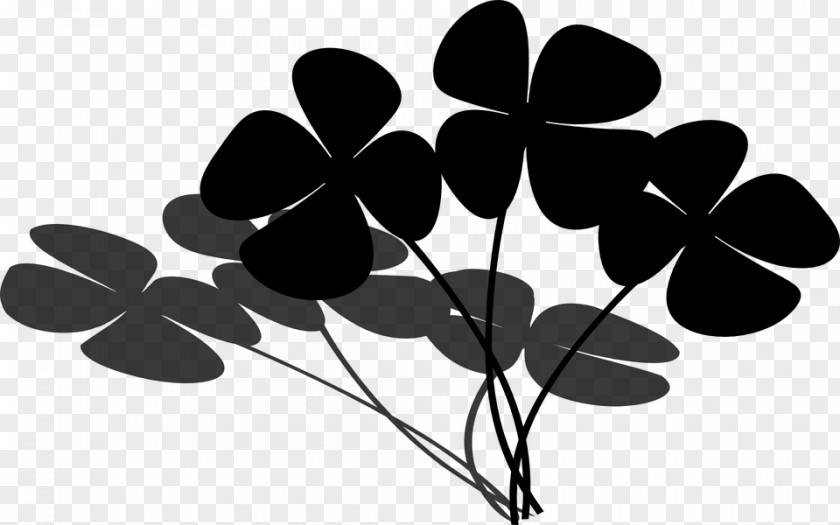 Four-leaf Clover Luck Plants Flora PNG