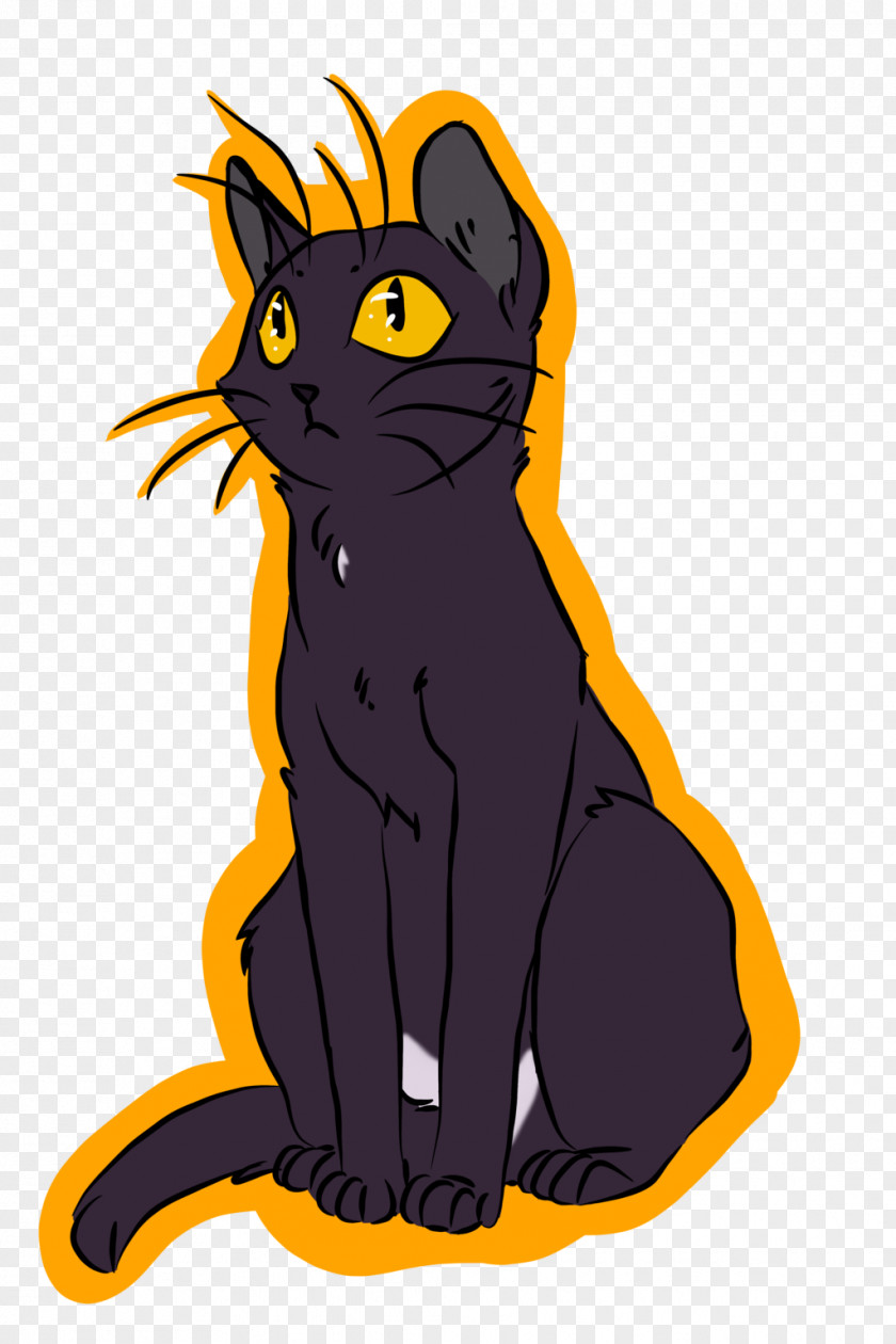 Kitten Whiskers Black Cat Canidae PNG