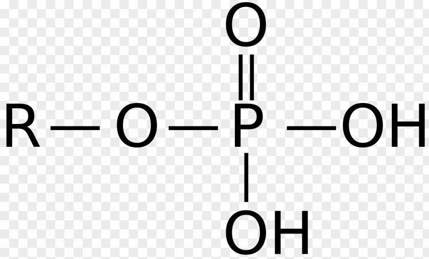 Orange Fruit Phosphoric Acids And Phosphates Functional Group Nucleotide Organic Chemistry PNG