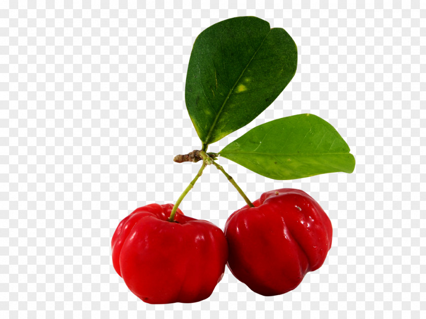 Papaya Juice Barbados Cherry Fruit Malpighia Glabra PNG