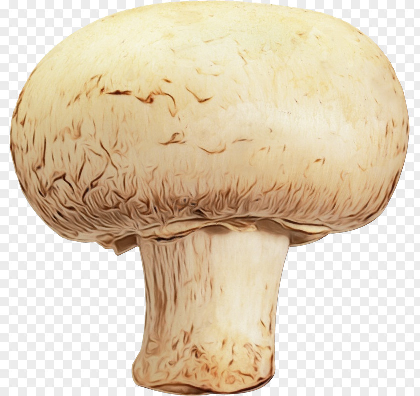 Russula Integra Matsutake Mushroom Cartoon PNG