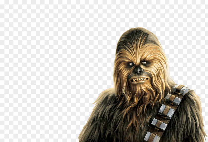 Stormtrooper Chewbacca Anakin Skywalker Yoda Leia Organa C-3PO PNG