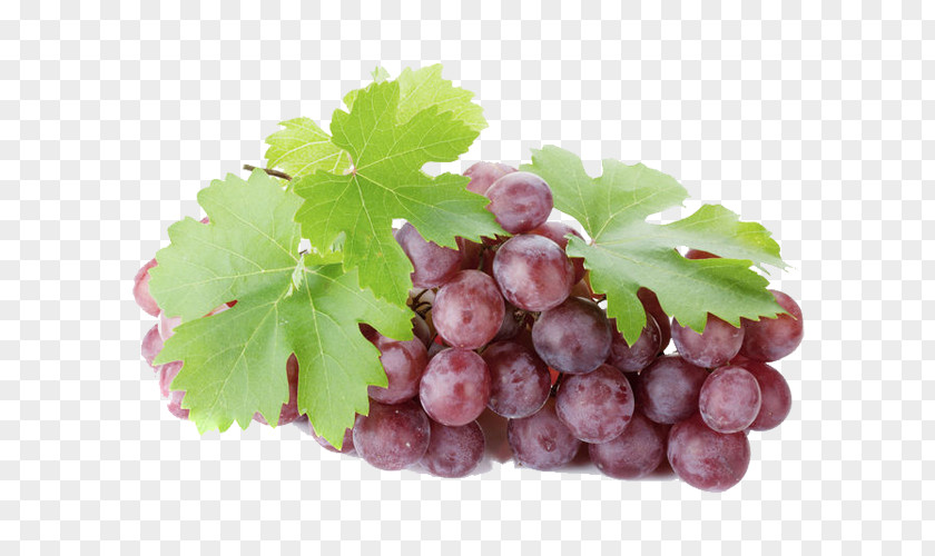 Achillea Millefolium Sultana Grüner Veltliner Wine Grape Seedless Fruit PNG