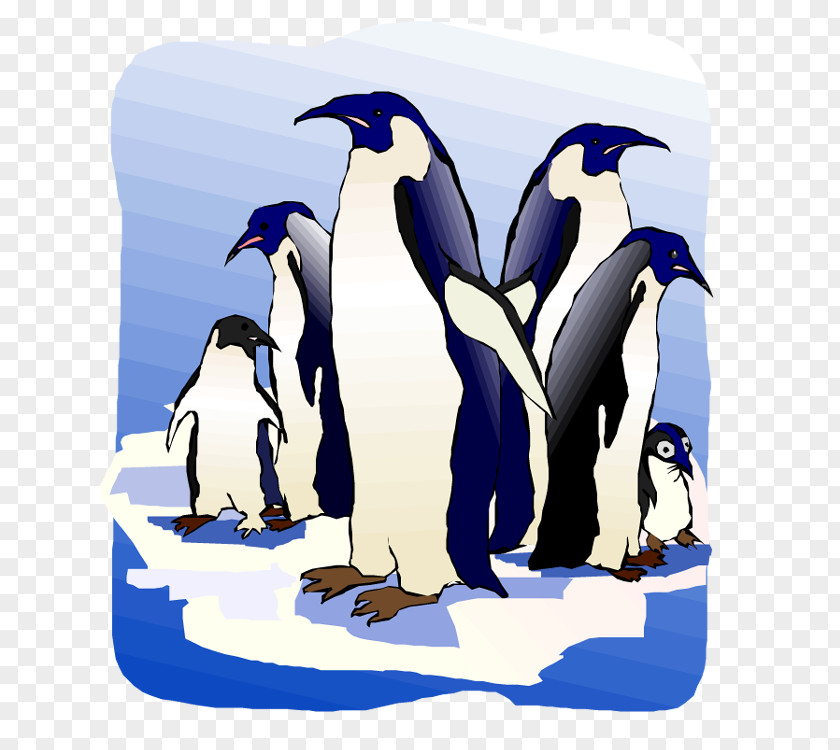 Penguin King Flightless Bird Clip Art PNG