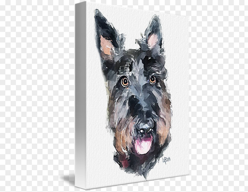 Scottish Terrier Miniature Schnauzer Dog Breed Snout PNG