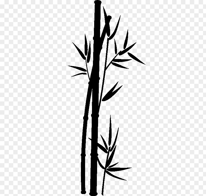 Bamboo Painting Sticker Art Bambou Tropical Woody Bamboos Plant Stem PNG