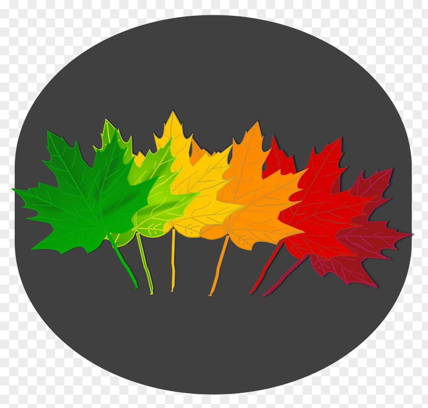 Leaf Maple Norway Red Clip Art PNG