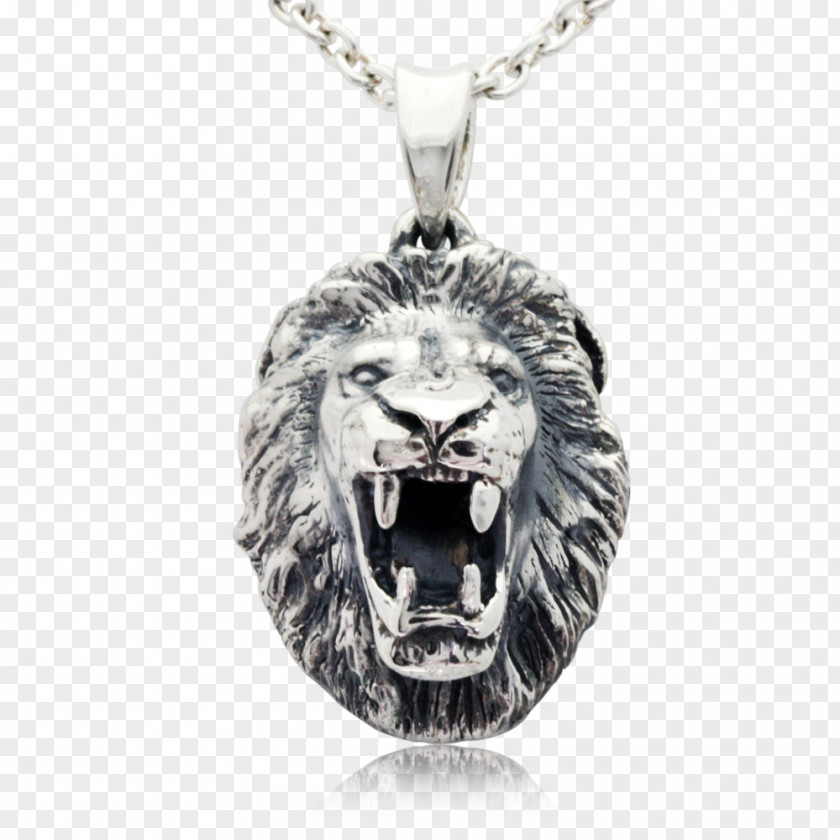 Lion Tiger Roar Locket Charms & Pendants PNG