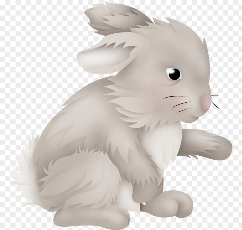 Rabbit Domestic Hare Easter Bunny European PNG