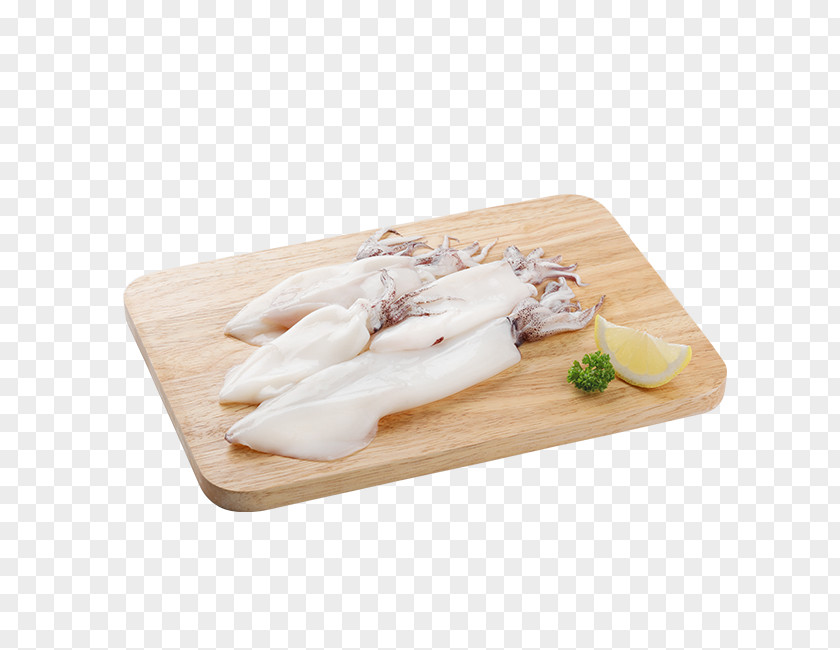 Squid Seafood Coleoids Fish PNG