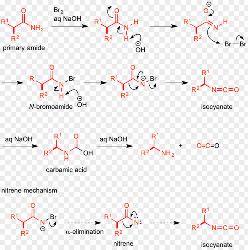 BOC Hofmann Rearrangement Amide Amine Organic Compound Isocyanate PNG
