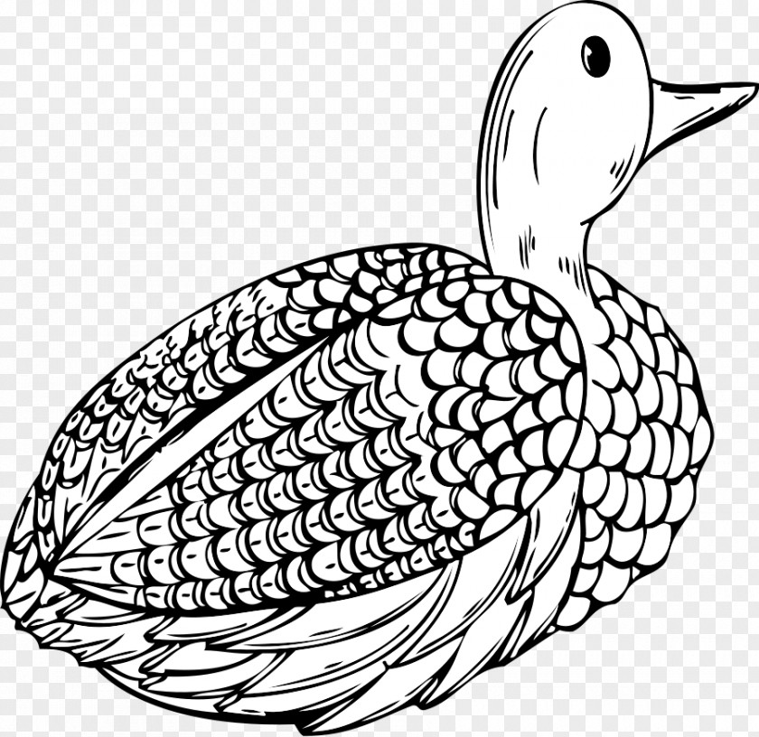 Duck Decoy Goose Clip Art PNG