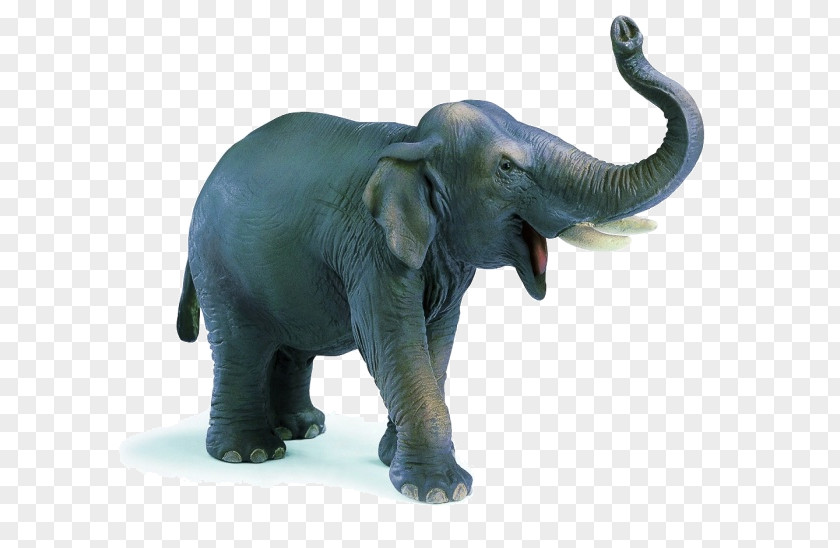 Elephant African Indian Schleich PNG