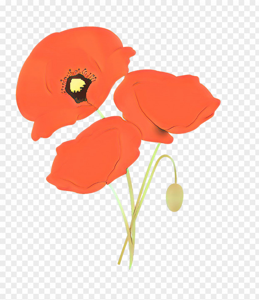 Flower Coquelicot Red Poppy Plant PNG