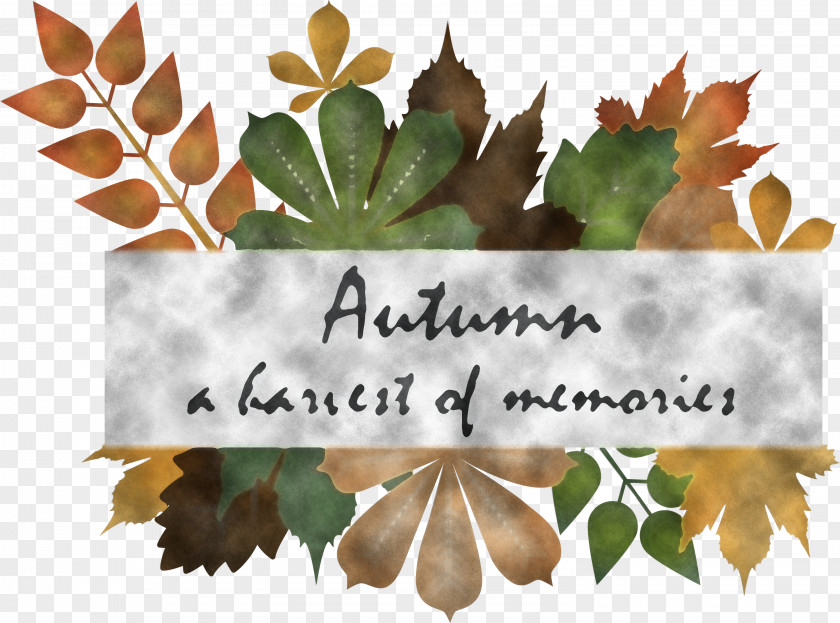 Hello Autumn Happy Fall Background PNG