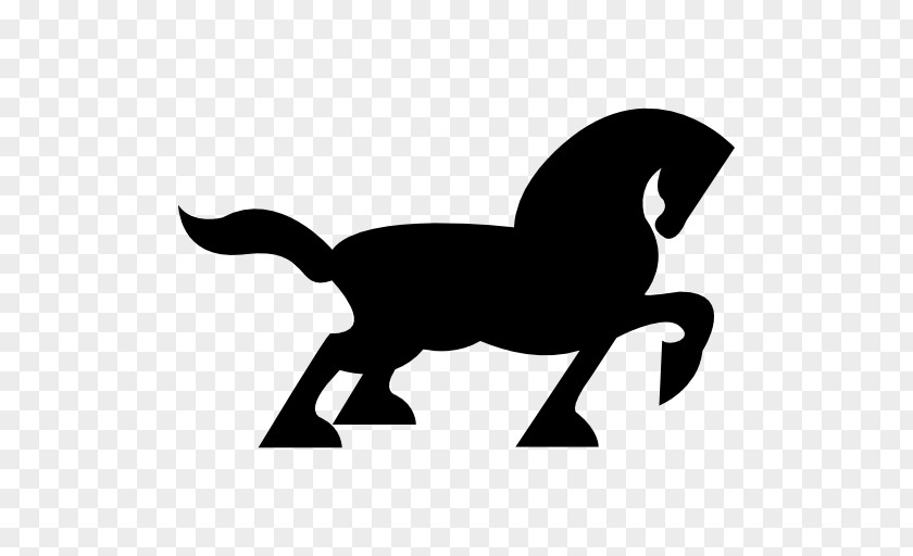 Horse Black Pony PNG